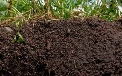 Maine Legislature First in Nation to Recognize Soils