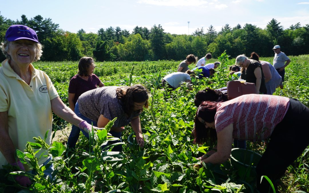 Androscoggin Gleaners join GFCLA